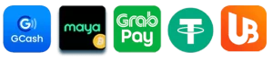 222GAMES online casino payment gateway with mobile gaming access